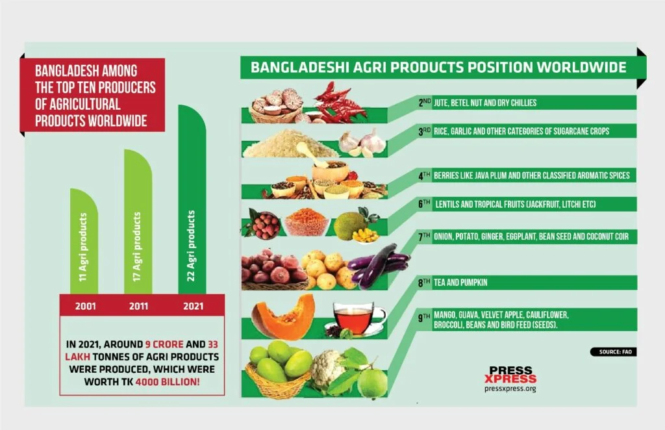 Agricultural Products | 24 Best Agriculture Services | Agricultural Products of Bangladesh - Image 5